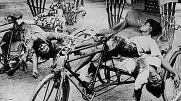 1971 Bangladesh Genocide