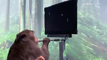 elon-musk-NeuraLink-monkey-mind-control-game-video--scaled.jpg
