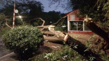 Nor’wester in Bangladesh