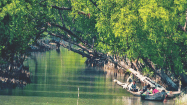 190 establishments within 10kms of Sundarbans