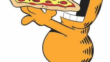 A Day in the Life of Food Hoarder