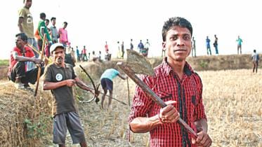 A Fight for Land and Livelihood