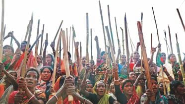 A Revolution Hundred Years in The Making