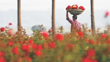 A trip to Golap Graam