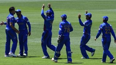 Afghanistan cricket
