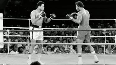 ALI-5-fights-1-web.jpg