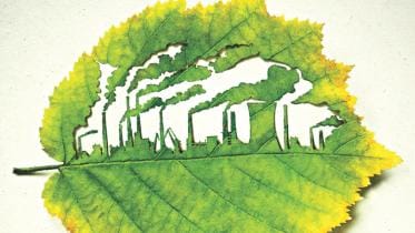 An Ode to the Sundarbans