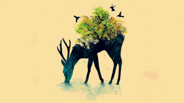 b4e986146d2027a4ce4e80463a4d5c80 copy.png