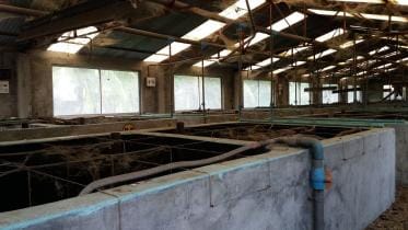 Bagerhat hatchery.jpg