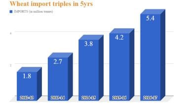bangladesh-wheat-import-wb.jpg