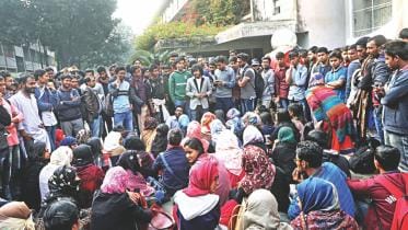 bcl foil DU demo.jpg