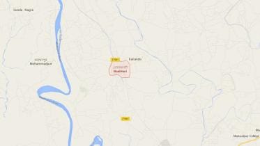 Boalmari upazila map.JPG