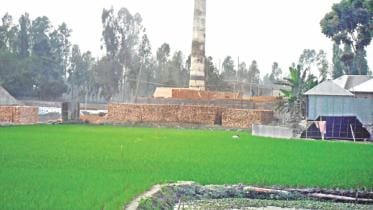 Brickfields in croplands.jpg