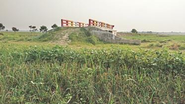 Bridges that bridge little