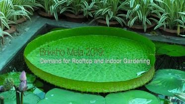 Brikho mela TN 1.jpg