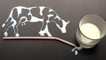 BSTI responsibility dairy products.jpg