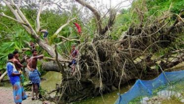 Cyclone Bulbul damages Sundarbans’ infrastructure badly