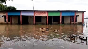 চার মাস ডুবে থাকে মদনগৌরি স্কুল - thumbnail.jpg