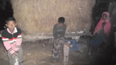 chandpur 15.1.16.jpg