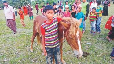 child horse jockeys.jpg