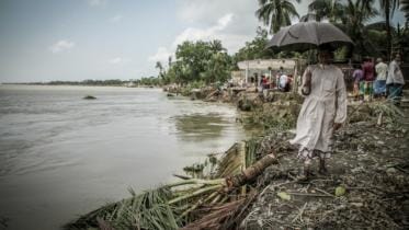 Conservation delayed.jpg