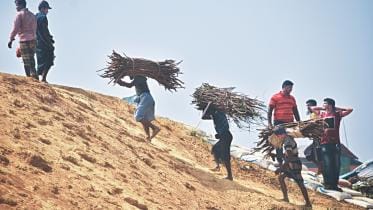 Cox's Bazar forest in danger
