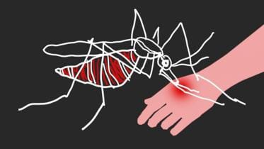 Dengue Fever Death in Dhaka