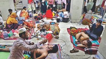 dengue fever patients