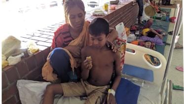 dengue patient Rabbi.jpg