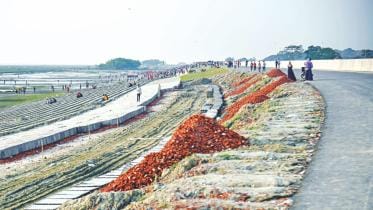 dhaka ctg highway.jpg