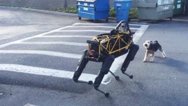 dog-robodog-yt-wb.jpg