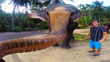 elephant selfie 1 new.jpg