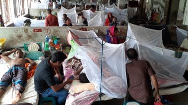 Faridpur-dengue.jpg