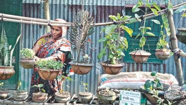 household vegetable gardens