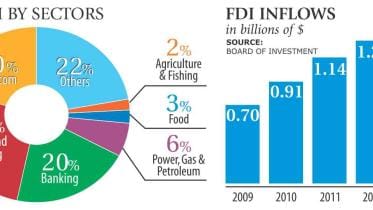 FDI INFLOWS