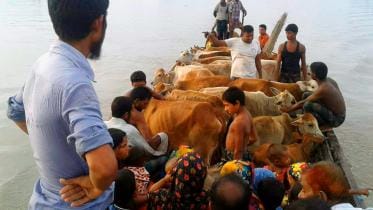 flood-2017 photo from Friendship.jpg