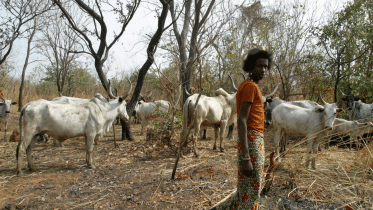 fulani-herdsmen2.gif