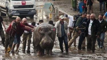 georgia flodd new.jpg