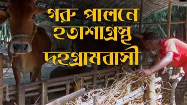 Goru Palone Hotasha_Thumbnil.jpg