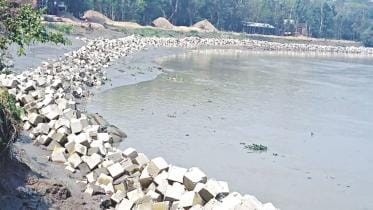 WDB Embankment on Halda