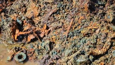 Heavy Metals in Soil.jpg