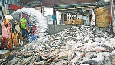 hilsa-flooding-Barishal.jpg