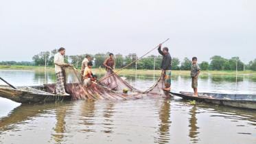 hilshan in haor 1.jpg