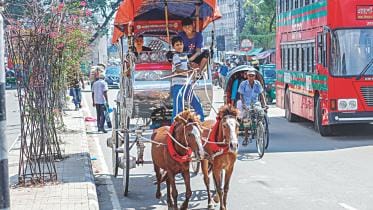 horse-drawn carriages 1.jpg