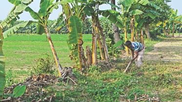 indian terrritory.jpg