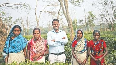 Inside the Cha Polli