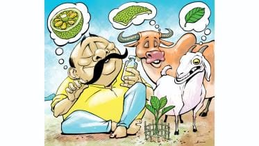 Nutritional benefits of Jackfruit