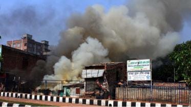 kalshi-carnage new.jpg