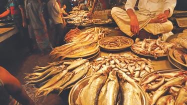 Karwan Bazar kitchen market.jpg