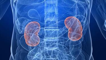 kidney diseases care in South Asia